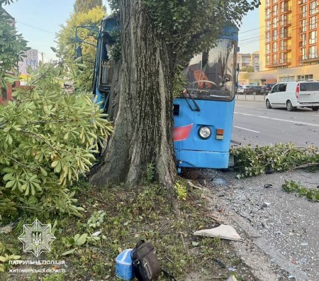 Ранкова аварія в Житомирі: після удару Renault тролейбус з пасажирами врізався в опору та дерево